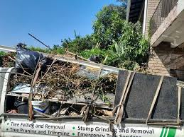 Best Carpet Removal and Disposal  in , MT